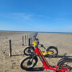 Randonnée Plage de Beauduc