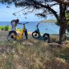 E-TROTT-RIDER - Des randonn&eacute;es encadr&eacute;es avec un guide sur des circuits en trottinette &eacute;lectrique tout terrain; la d&eacute;couverte des paysages de la Camargue &agrave; la cote bleu ou les Alpilles. l'hiver place &agrave; la montagne dans la station des Deux Alpes .
